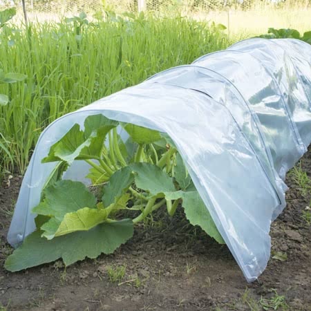 Greenhouse Film and Cover