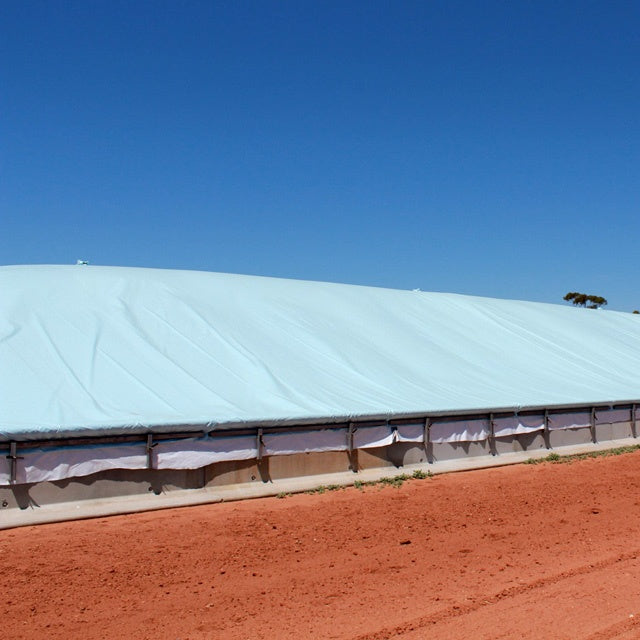 Grain Cover