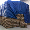 PE Tarpaulin for General Cover