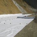 Needle-Punched Nonwoven Geotextile