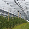 Anti-Hail Net