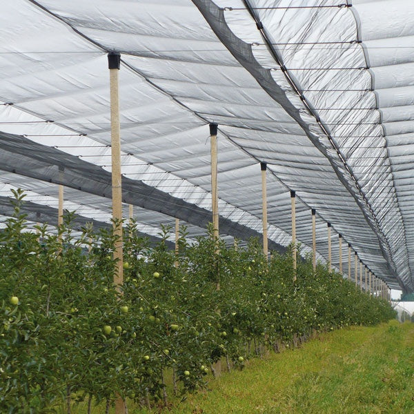 Anti-Hail Net