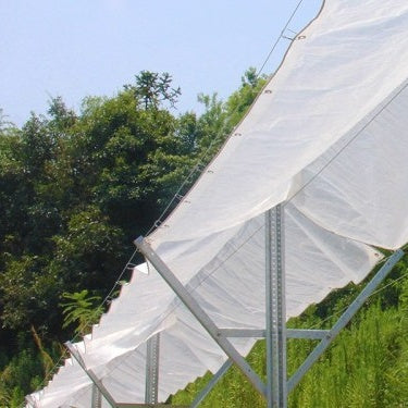 Cherry Tree Rain Cover