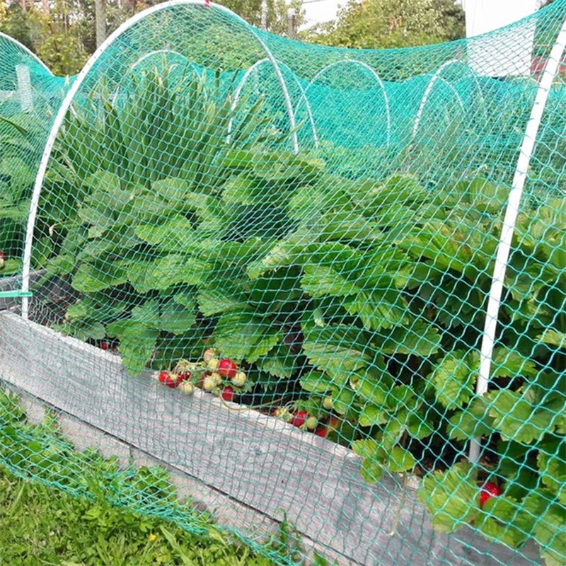 Bird Control Net