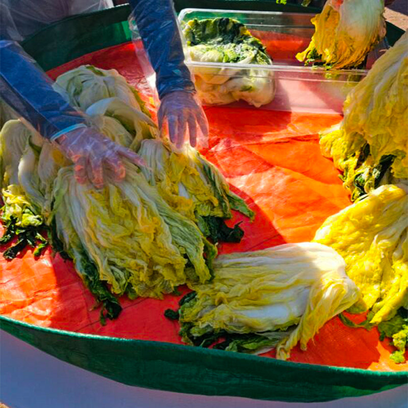 Korea Kimchi Making Mat